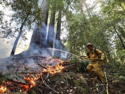 Wildland Fire Update