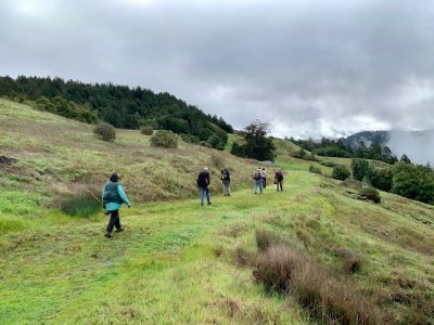 Volunteer Opportunitues