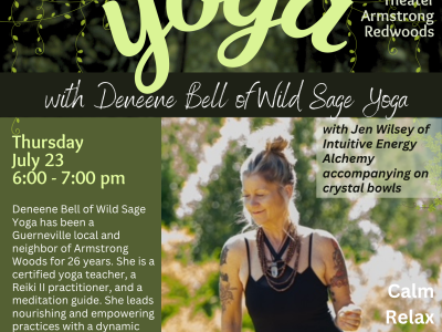 Yoga in the Redwoods with Deneene